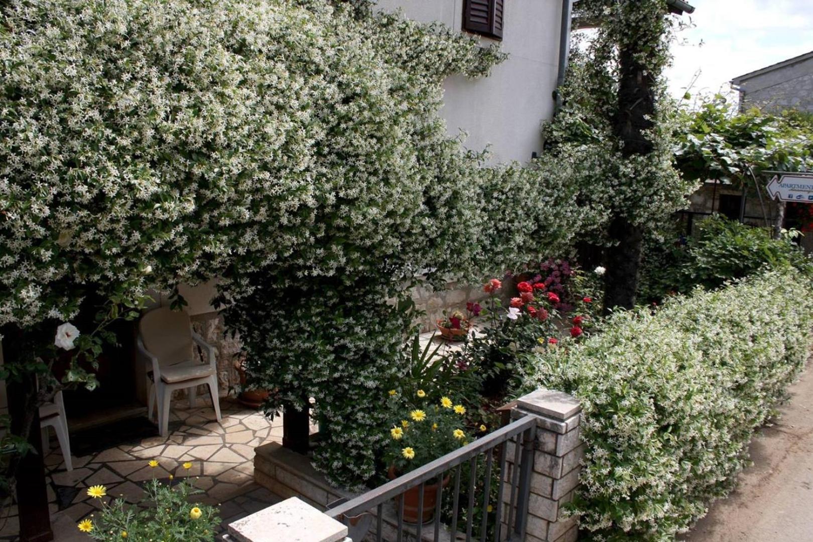 Anamarija Apartments Near The Beach And The Fantastic Adria Sea With Over 10 Small Islands Close By Funtana Exterior photo